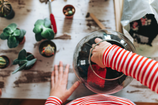 Terrarium Pests and Mold: Prevention and Natural Solutions